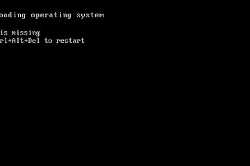 Error Loading Operating System with Windows
